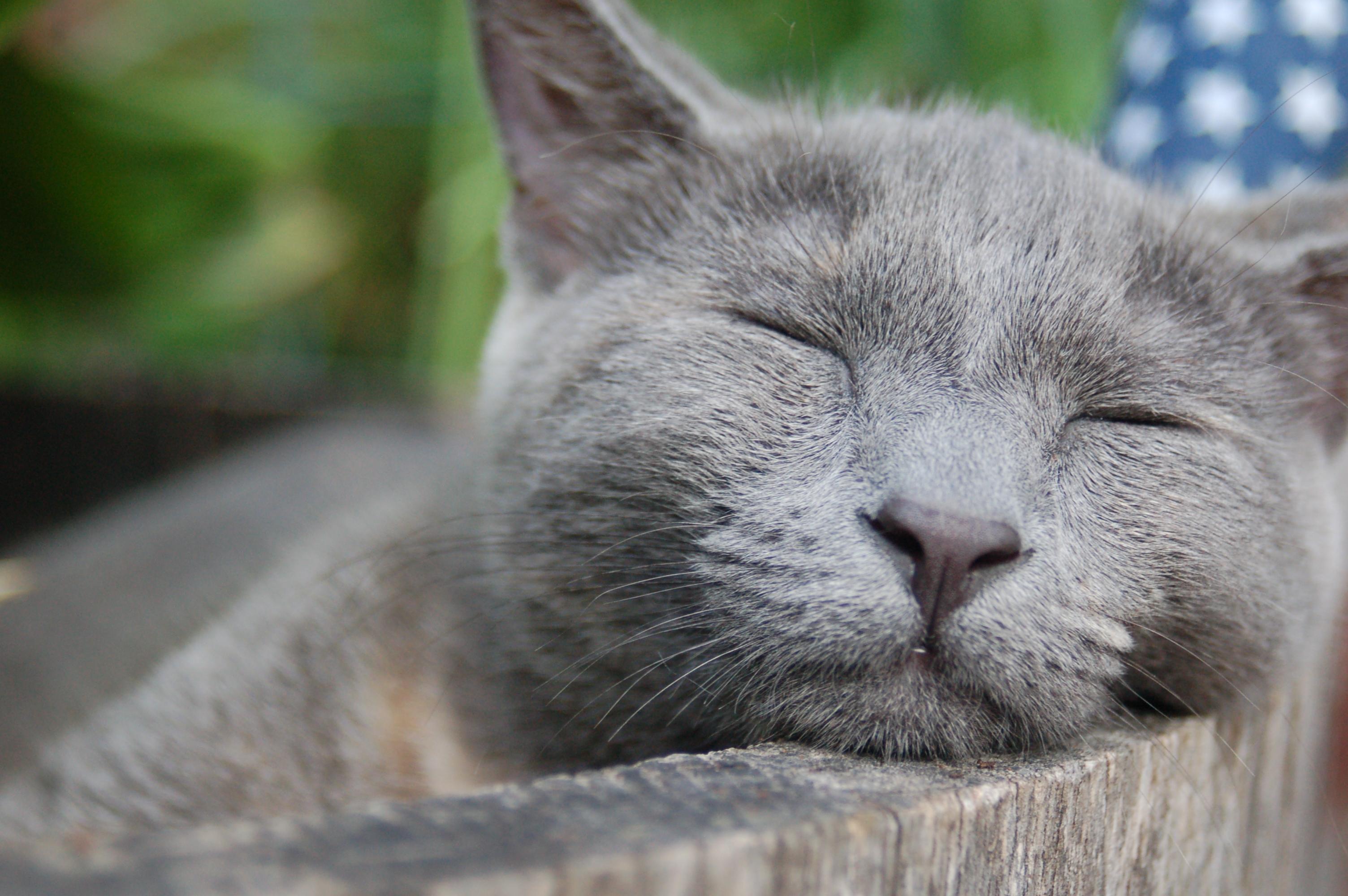 Inner Changes Psychotherapy and Counselling Sleep Deprivation May